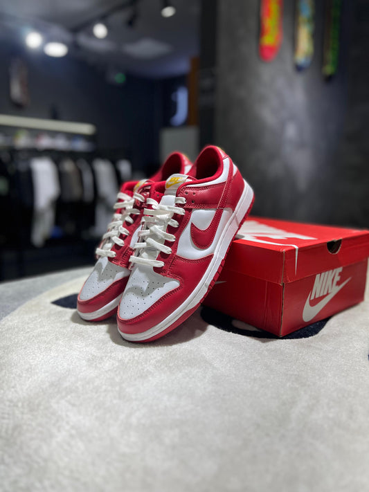 Nike Dunk Low USC