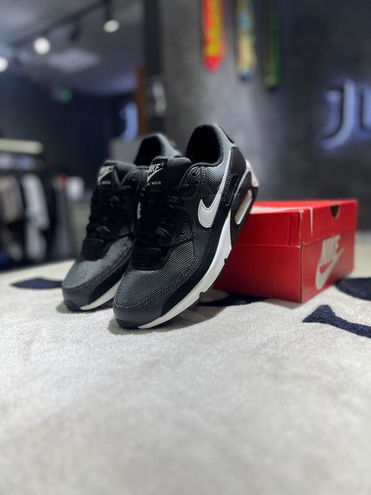 Nike Air Max 90 Iron Grey